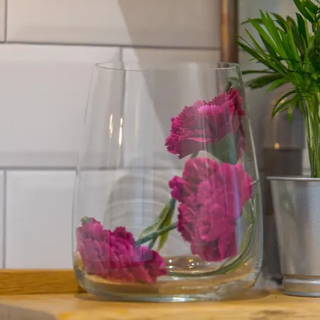 Clemenceau - Parking Prive Inclus * Aix-les-Bains